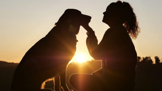 Which Zodiac Signs Make the Most Patient Dog Owners?