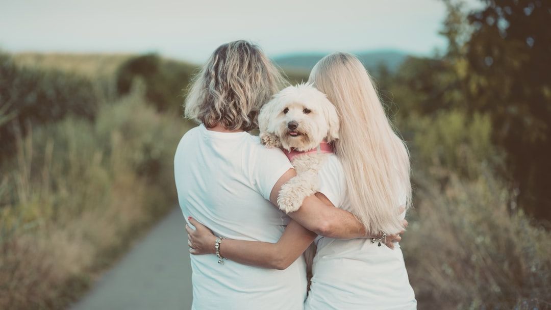 Scientists Discover Dogs Can Understand Human Dreams and Emotions