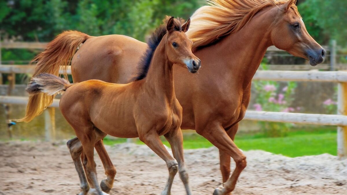 What Ancient Animal Symbolizes Prosperity for Your Zodiac Sign?