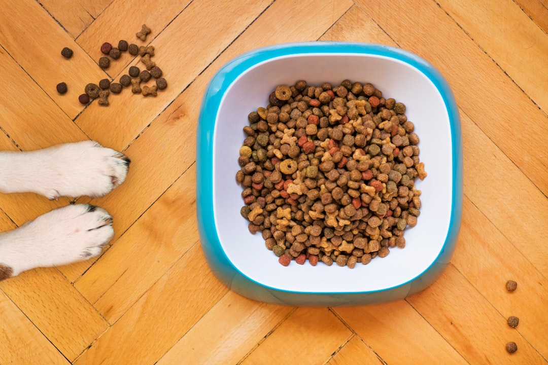 Essential Tips for Safely Storing Pet Food: Keep Your Furry Friends Healthy!