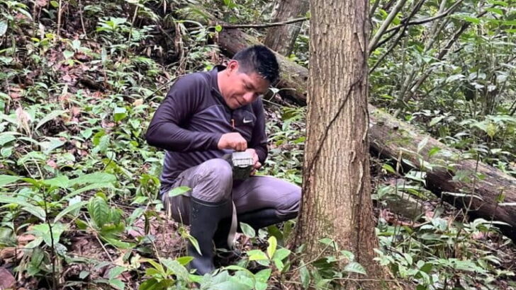 How Indigenous Knowledge Is Reshaping Modern Wildlife Conservation