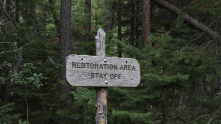 TGBS Impact Advances Biodiversity in Global Forest Restoration