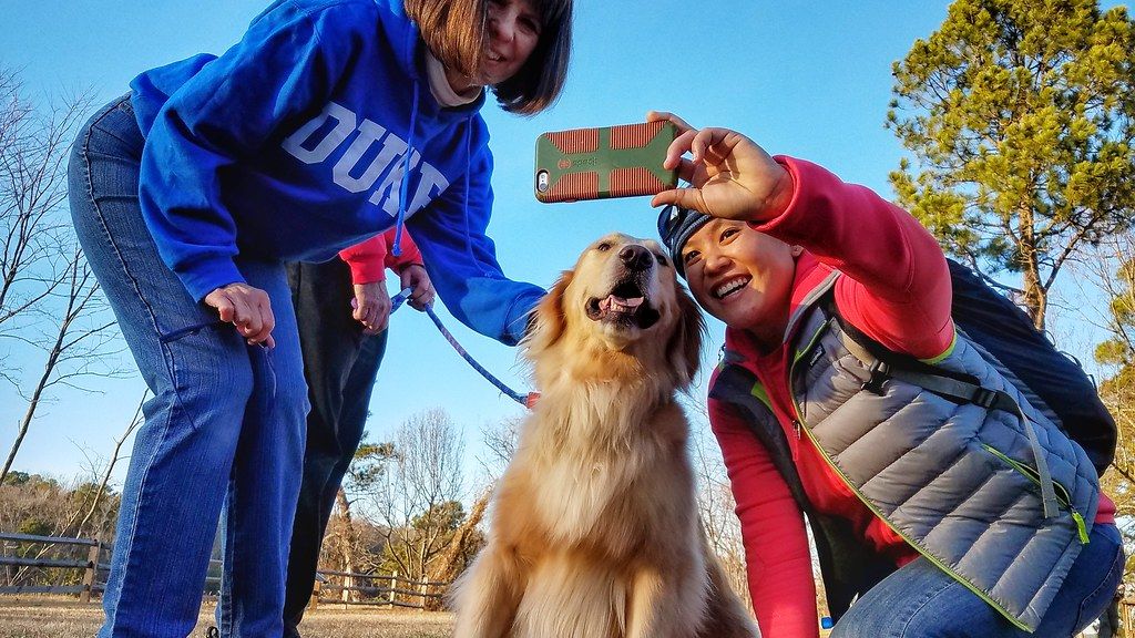 Your Dog's Odd Habits Might Be a Sign of Underlying Canine Genius, Experts Say