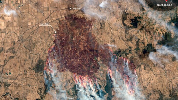 Satellite Views Capture the Immense Toll of Australia’s Bushfires