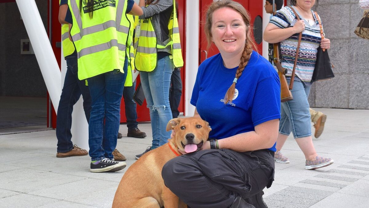 How Can We Best Support Local Animal Shelters and Rescues in Our Community?
