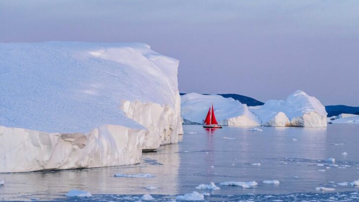 Greenland’s Melting Ice Sheet: A Growing Crisis for Arctic Wildlife