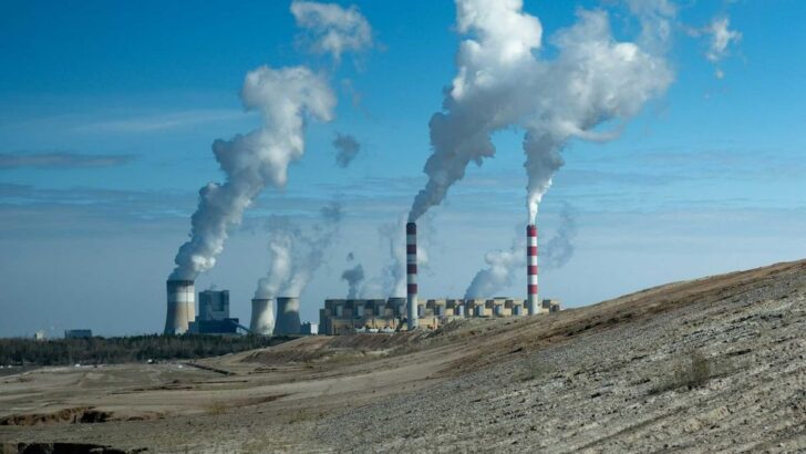 How Trump’s Coal Plant Policies Are Putting Wildlife at Risk