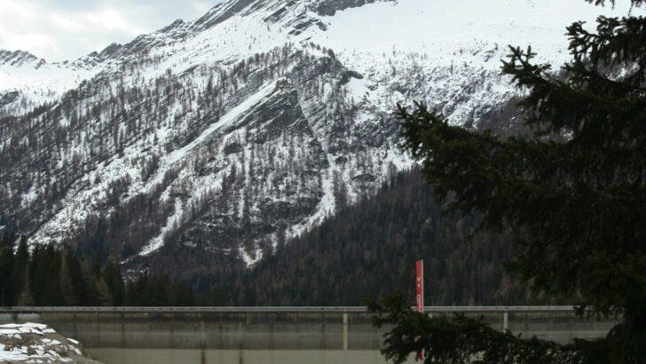 Extreme Cold Snaps: Safeguarding Wildlife Amid Climate Shifts in Europe and Russia