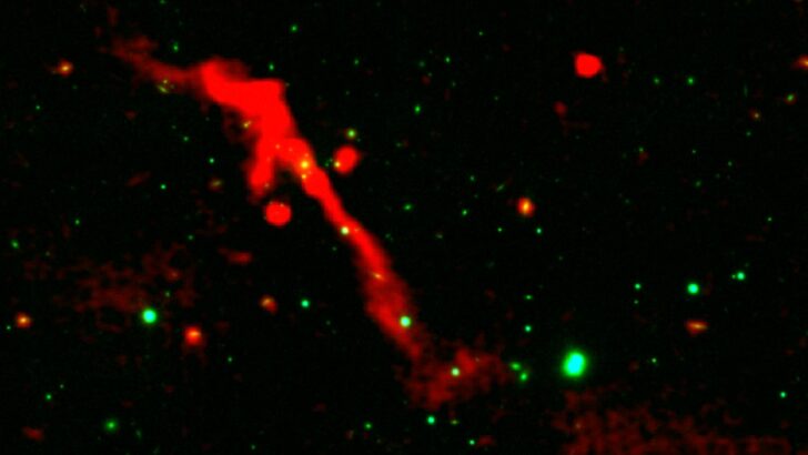 Supermassive Black Hole Roars Back to Life in Spectacular Cosmic Eruption