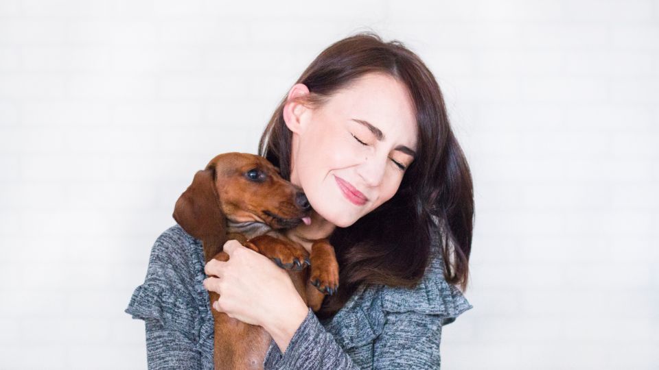 15 Dog Breeds So Loyal, Vets Call Them Lifelong Companions