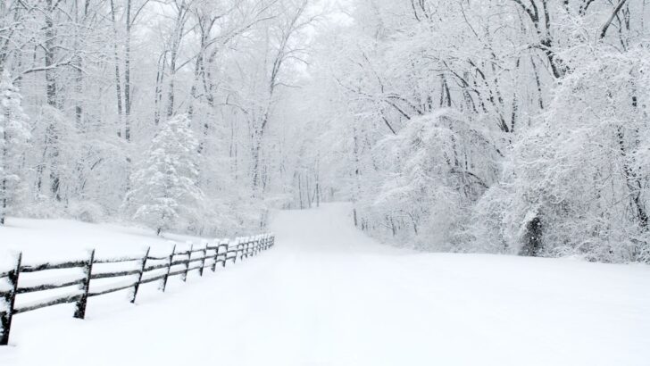Arctic Onslaught Ahead: Winter Storm Set to Deliver Minus 40 Wind Chills and Heavy Snow