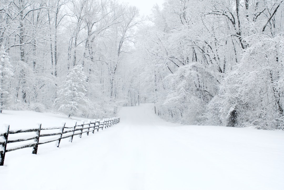 Wind chills of minus 40, heavy snow in forecast as winter storm builds