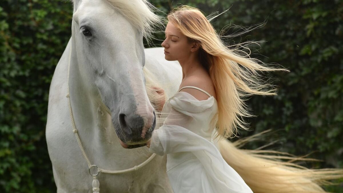 Celestial Herd: Which Horse Archetype Runs Beside Your Zodiac Sign?