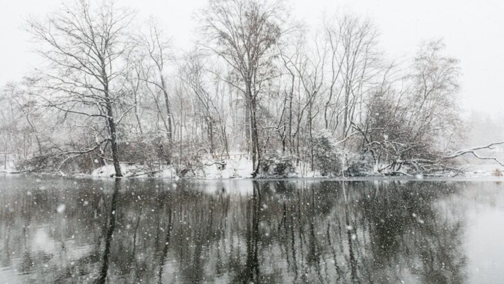 Historic Winter Storm Threatens 200 Million Americans with Snow and Ice This Weekend