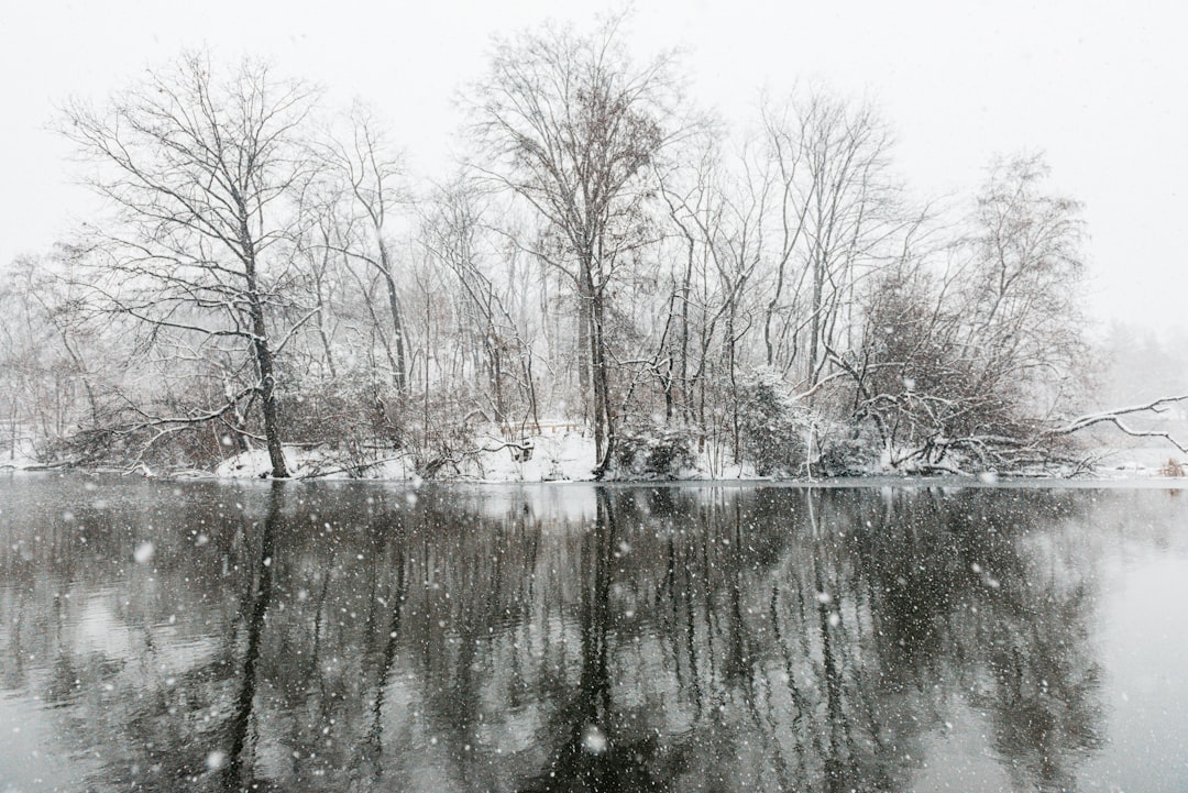 Massive winter storm predicted to hit large swath of the U.S. this weekend