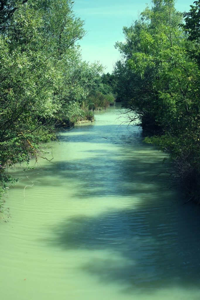 Environmental DNA breakthrough will aid conservation efforts | Cornell Chronicle