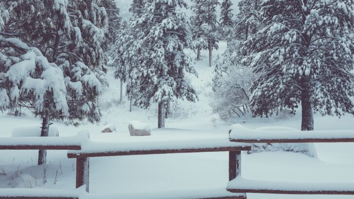 Historic Snowstorm Buries 17 U.S. States Under a Foot of Snow