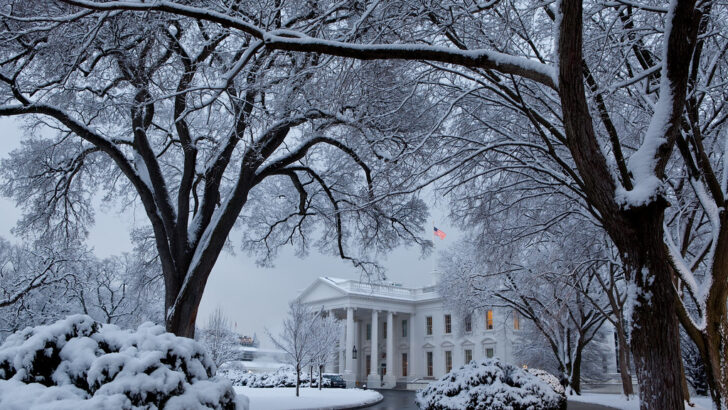 DC Region Grapples with Rare Multi-Inch Sleet After Snowfall