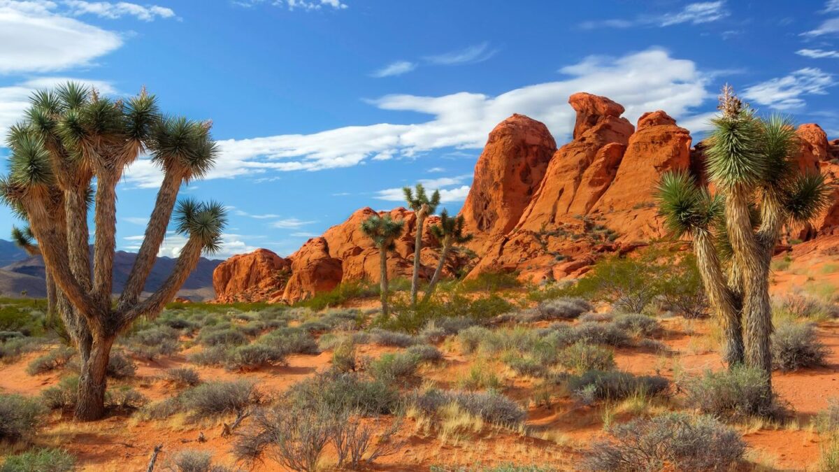 10 Iconic US Monuments You Never Knew Were Animal Sanctuaries