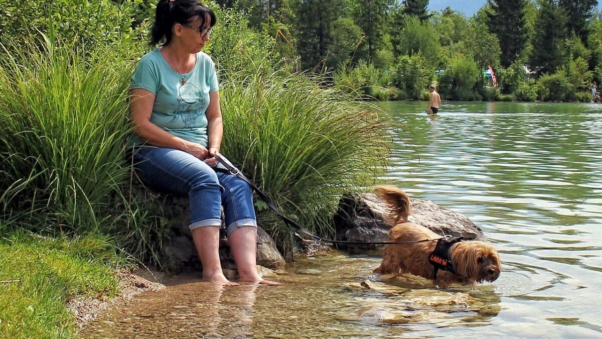 5 Things Never To Do If You Think A Dog Is About To Attack You