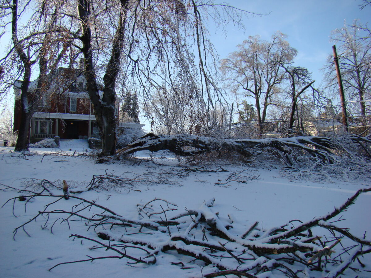 Winter Storm Debilitates the South, Encasing Cities in Ice and Snow