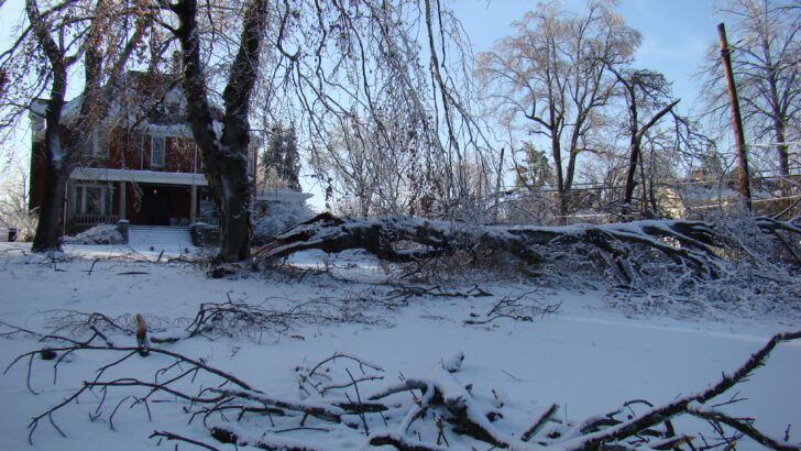 Icy Assault Paralyzes Southern States Amid Major Winter Storm