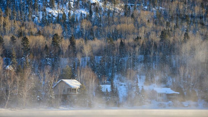 Southeastern States Wake to a Sharp Chill With Stronger Arctic Cold on the Way