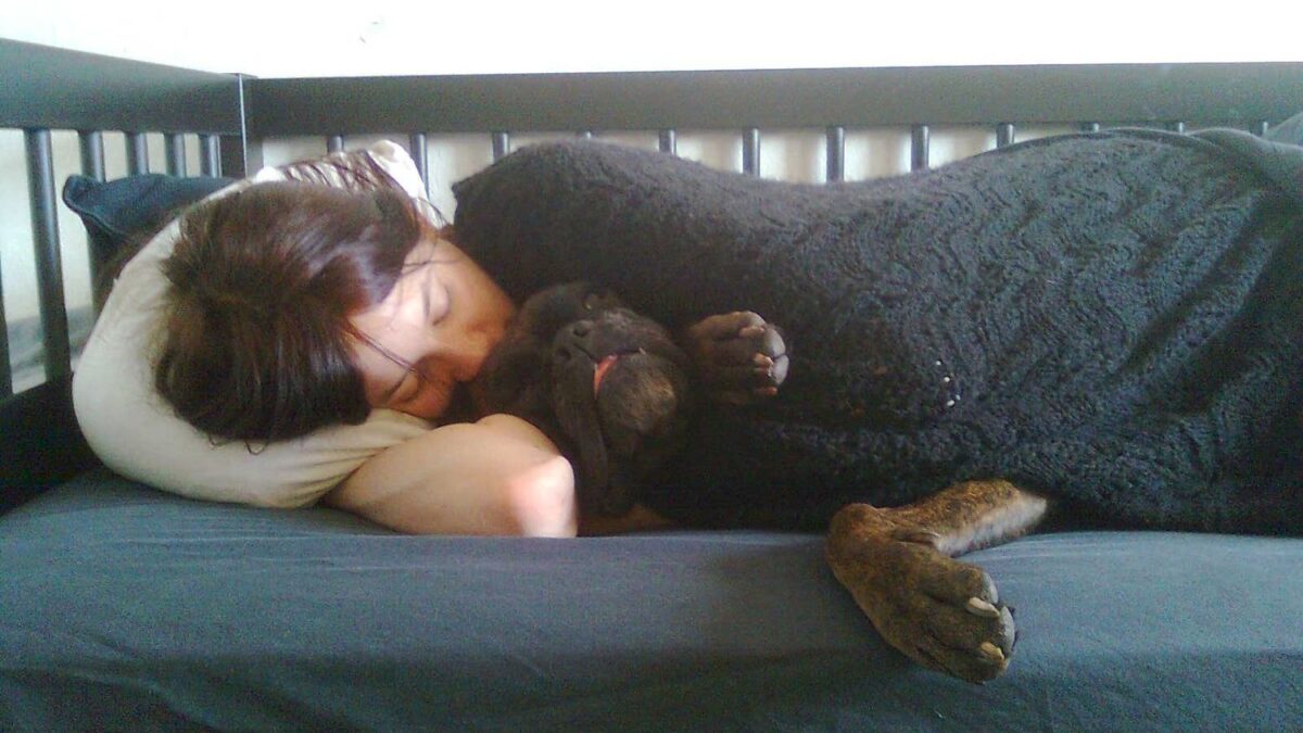 10 Behaviors That Show Your Dog Trusts You Completely (and How to Earn More)