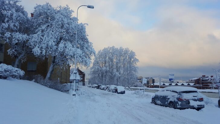Arctic Air Blankets St. Louis with Intense Cold Through Weekend