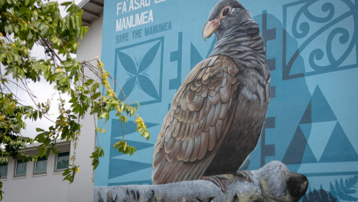 Last Of Its Kind Dodo Relative Spotted In A Remote Samoan Rainforest