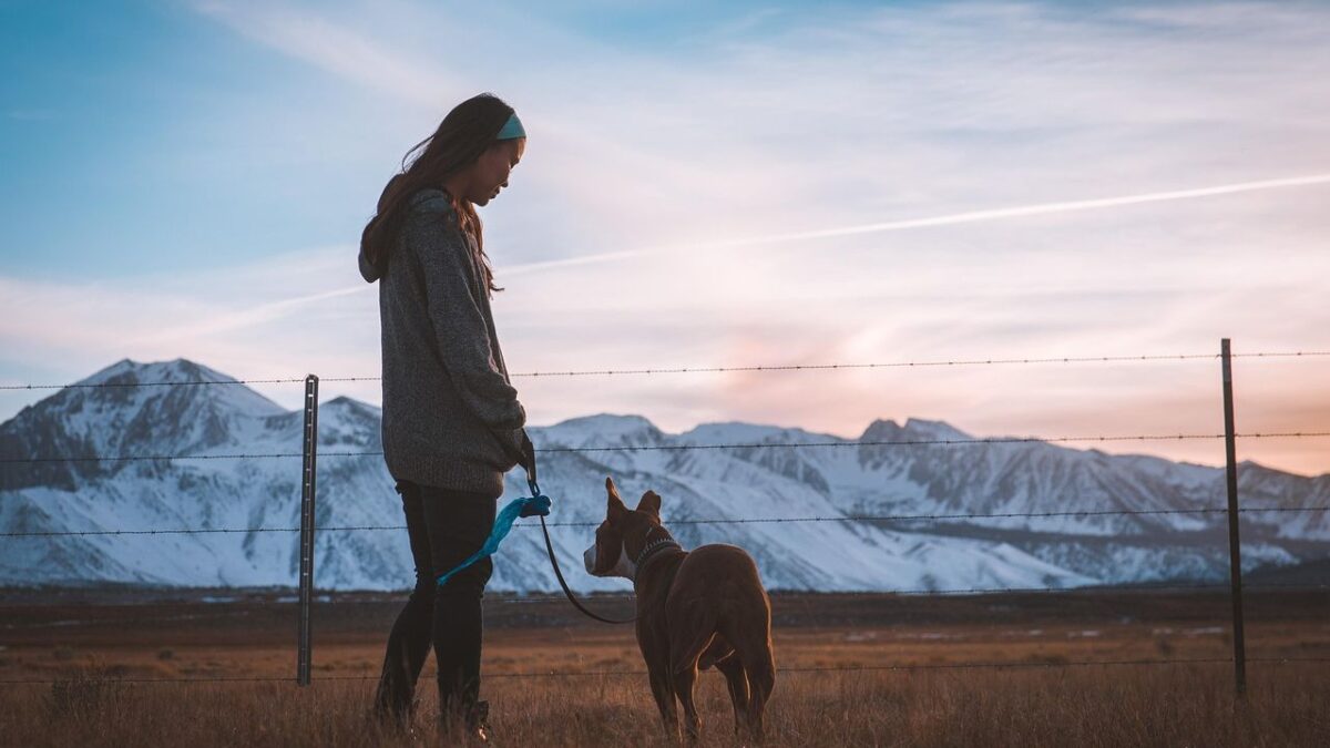 Which Zodiac Signs Struggle Most With Anxious Dogs