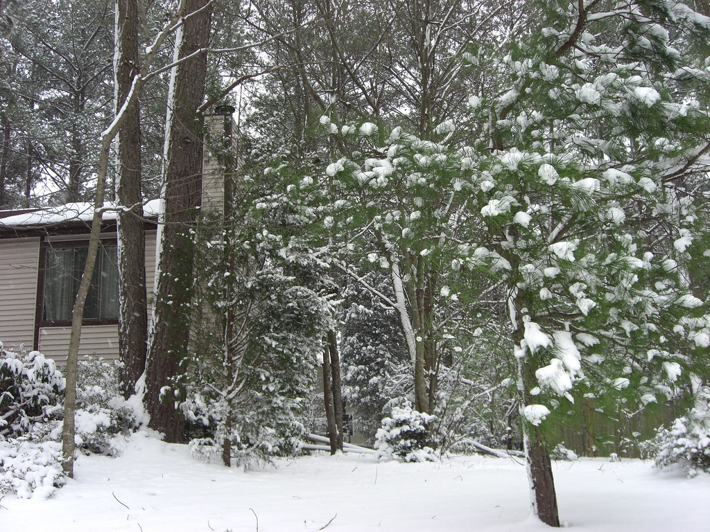 Snow Covers the Ground in Raleigh. What Did We Learn From This Storm? I'm Happy.... Snowy & Beautiful in Raleigh Tonight!