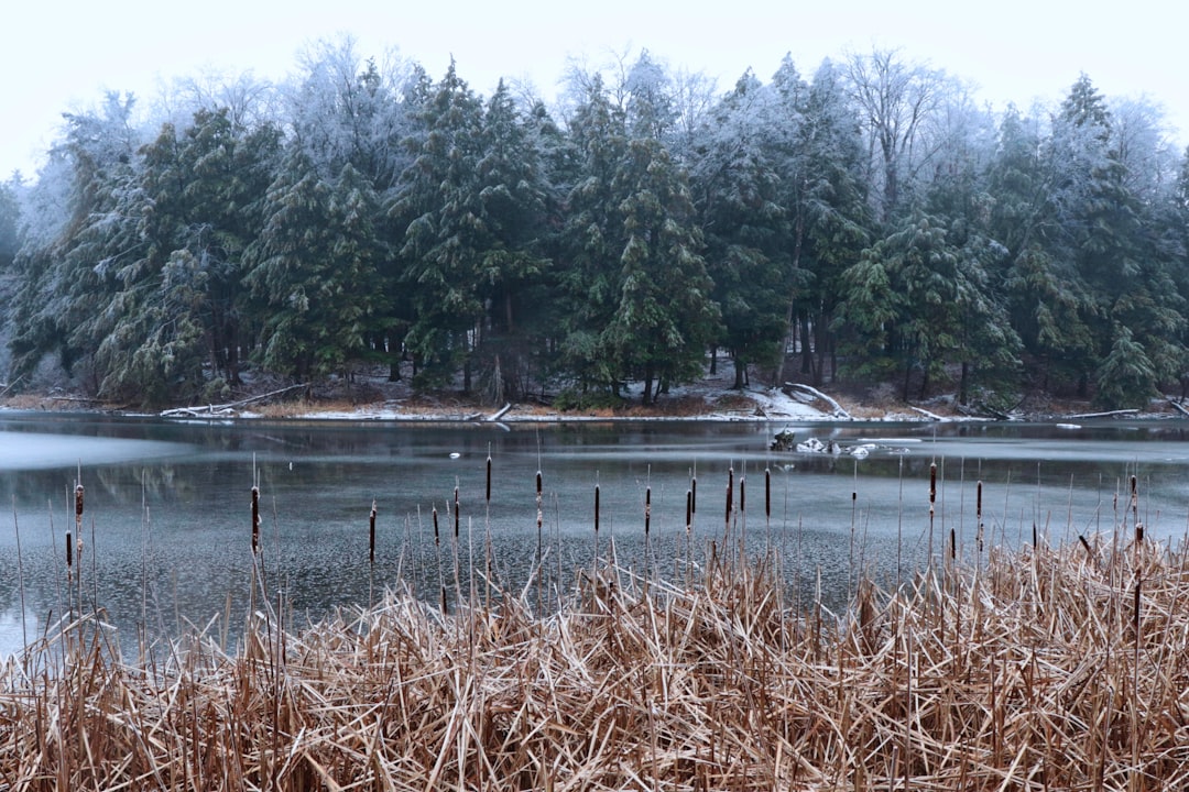 Light snow, freezing drizzle possible Tuesday morning