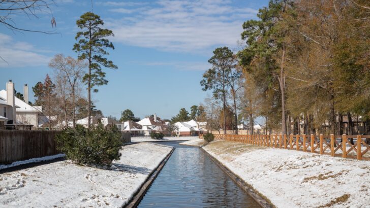 Warmer Days Return to Houston After Brutal Cold Snap