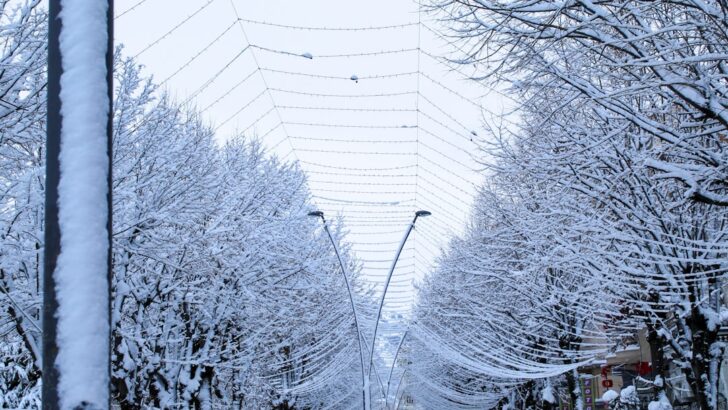 Extreme Cold Tightens Grip on New York City