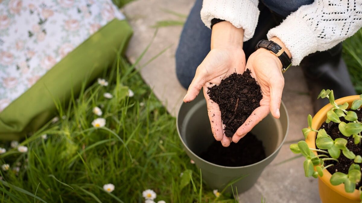 The Lifespan of Common Houseplants: How to Help Them Thrive