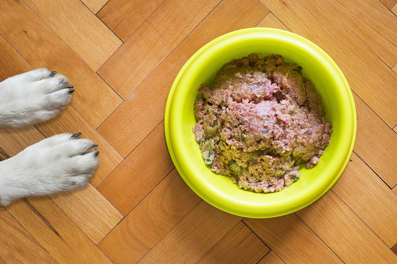 How to Choose the Best Wet Food for Your Pet: A Talis Us Guide