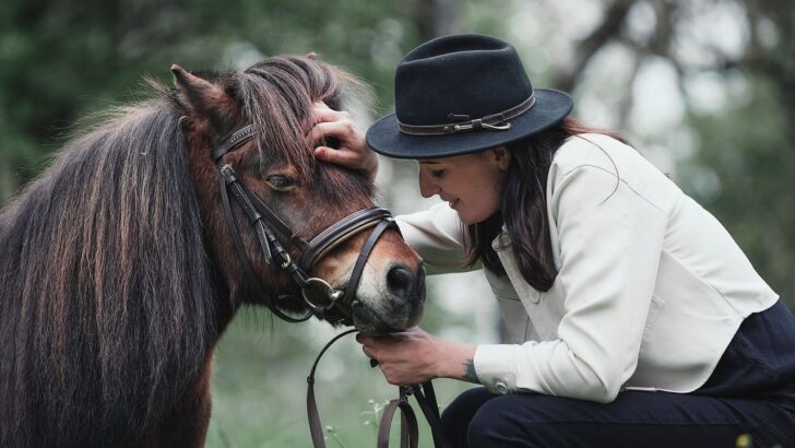 6 Fascinating Facts About Horses You Need to Know