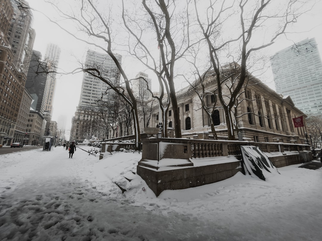 Cold Deaths in New York Climb to 18 as Frigid Winds Linger