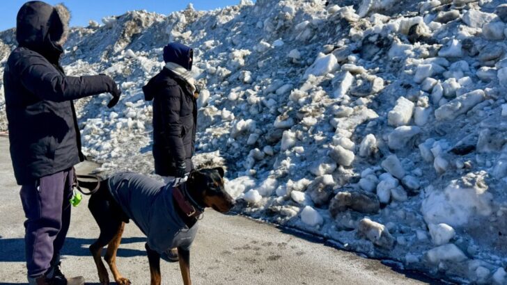 20-Foot High Snowcrete Towers Over RFK Site in DC After Last Week’s Snowstorm