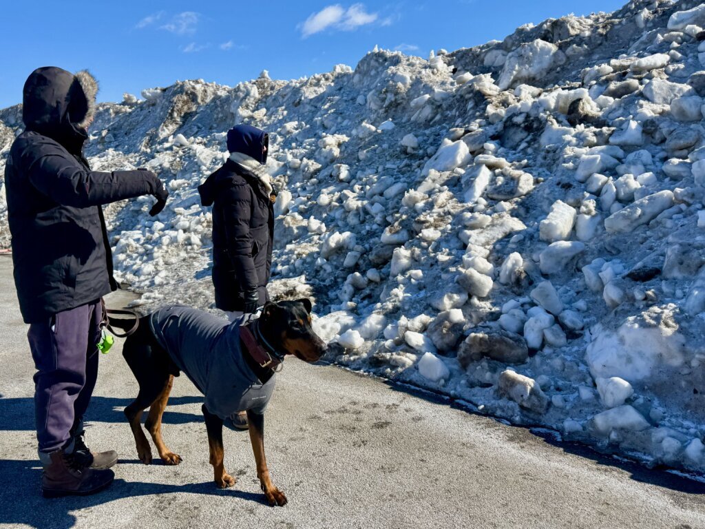 ‘That’s crazy’: Mountain of ‘snowcrete’ built at RFK parking lot