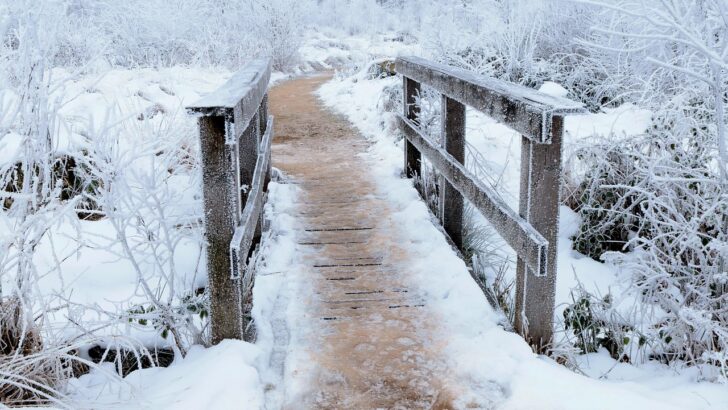 Arctic Blast Shatters Records as Northeast Endures Prolonged Deep Freeze