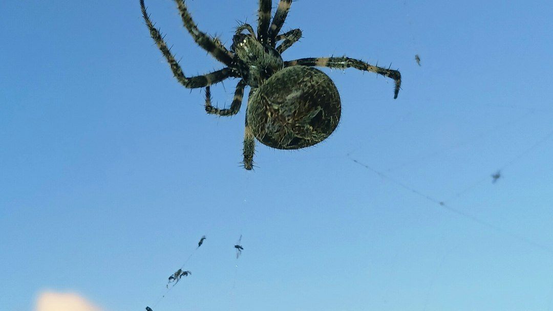 The 7 Unbelievable Animal Behaviors That Defy Scientific Explanation
