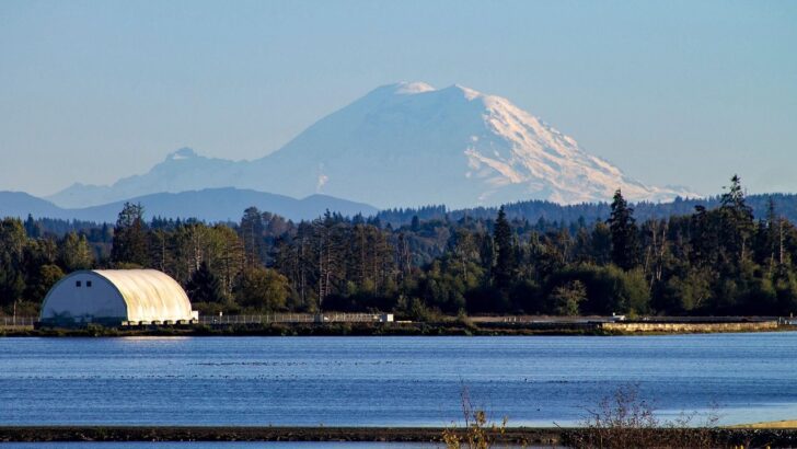 What If Mount Rainier Suddenly Erupted Near Seattle