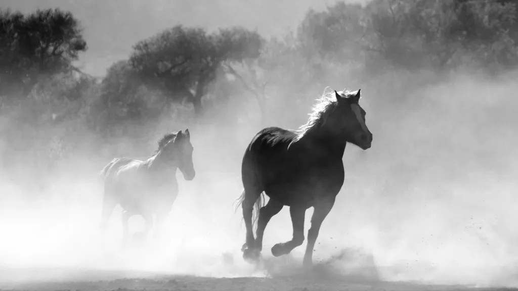 The Spirit Animals That Represent Each Zodiac Sign's Shadow Side