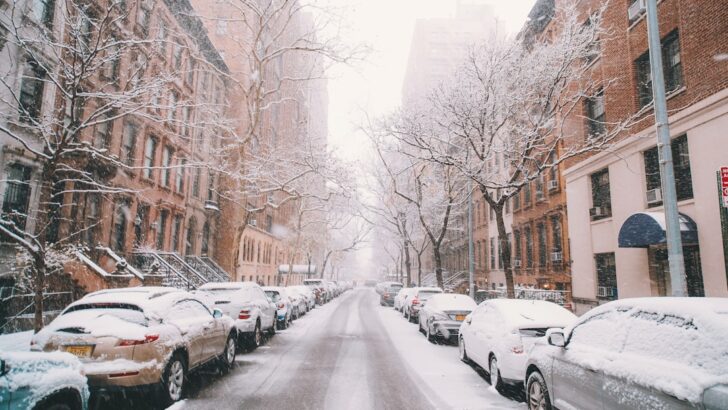 Freezing Winter May Finally Cut NYC&rsquo;s Rat Numbers This Spring