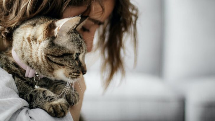 What Your Cat&rsquo;s Zodiac Sign Says About Its Love Style