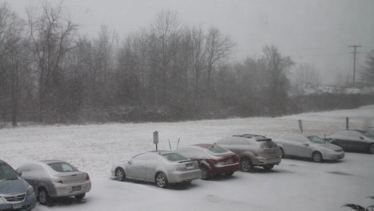 Snow Showers Set for DC Tonight, Milder Temperature Incoming