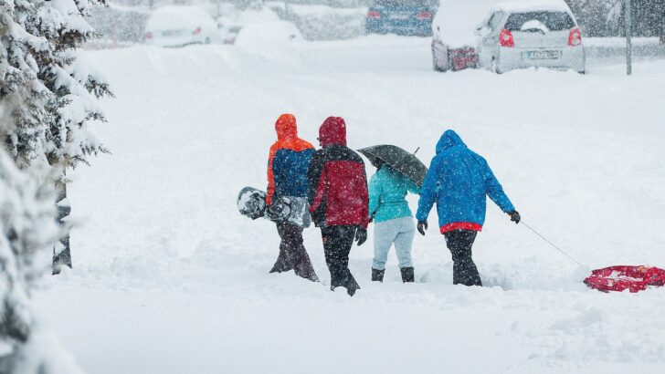 Winter Storm Fern Exposes Cracks in D.C.’s Snow Response