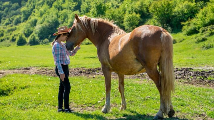 You&rsquo;re Probably Petting Your Horse Wrong: Here&rsquo;s What They Like